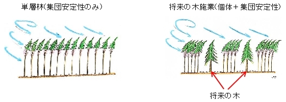 Future_Tree_03.jpg