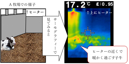 （図）A牧場の様子