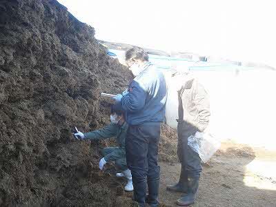 変色やカビの有無、色調、香りを確認