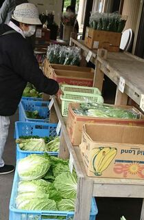 （写真）旬の野菜が並びます