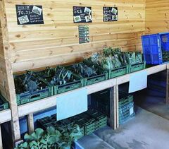 （写真）棚に季節の野菜が並びます（農場Instagramより）