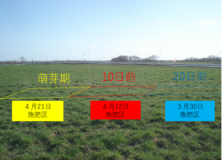 施肥早限確認実証ほ場