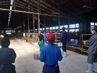 関係機関とともに搾乳牛舎の衛生管理状況を確認するインターン生