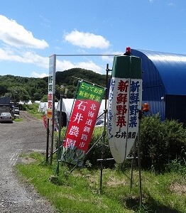 国道240号線沿い。目印は、大根型の看板です