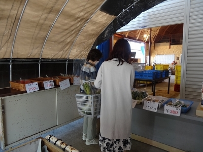 新鮮野菜を求めて、来店されます