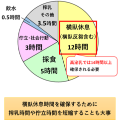 横臥休息時間は12時間以上占めていることが理想。