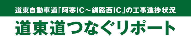 tsunagu_report_logo.png
