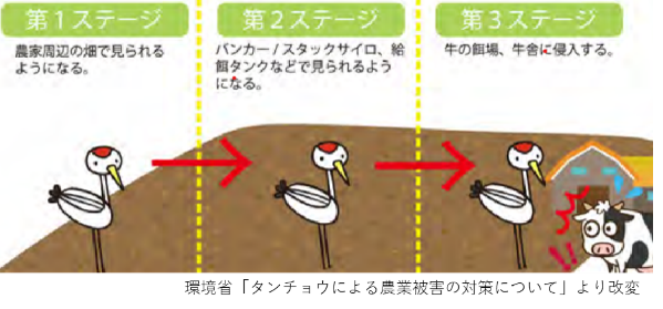 図1タンチョウの侵入経路