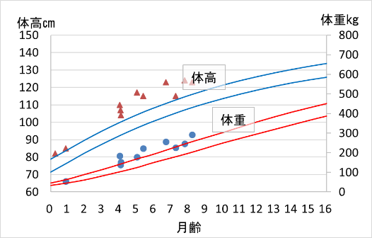 体高・体重の測定結果