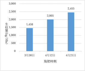 図2 施肥時期と収量