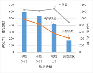 図1施肥時期と乾物収量