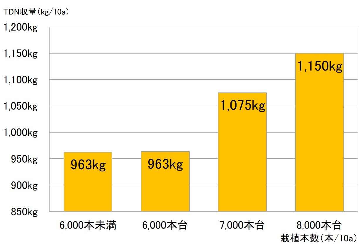 栽植本数とTDN収量の傾向